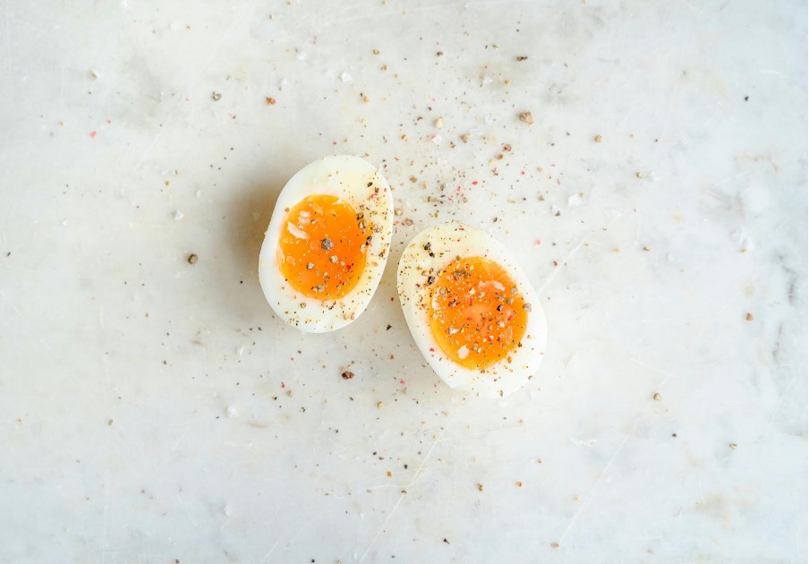 Protein Diet – Everything you need to know